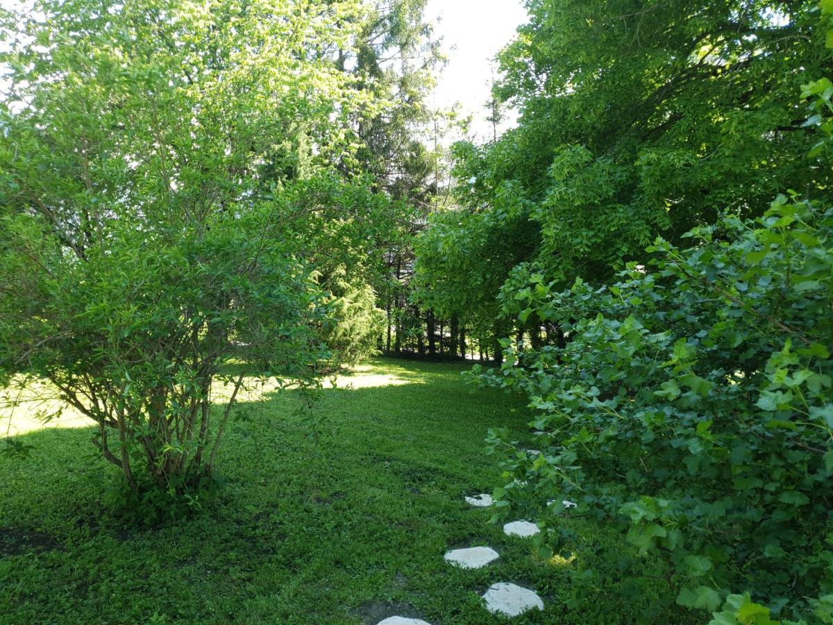 Vacheresse Chalet Tante Emma מראה חיצוני תמונה